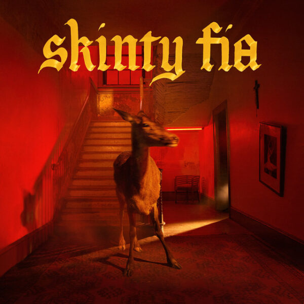 Fontaines D.C. - Skinty Fia Vinyl LP